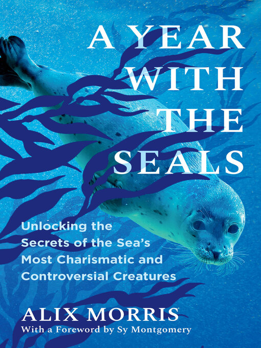 Cover image for A Year with the Seals